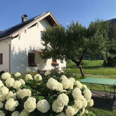 Ferienhaus Franz Eisl Radau 39 Saint Wolfgang Exterior foto